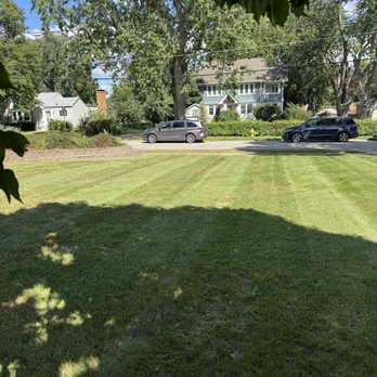 Lobo Lawn & Landscape - Lawn Services Near Me Lobo Lawn & Landscape - Lawn Services Near Me