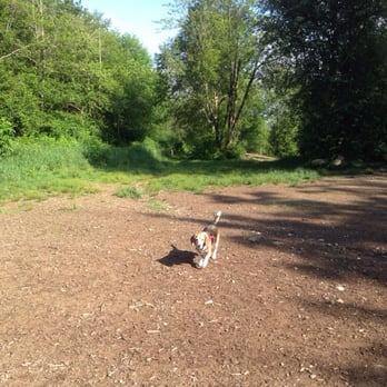 Willis D. Tucker Community Park - Happy dog - Parks Near Me - Snohomish, Washington