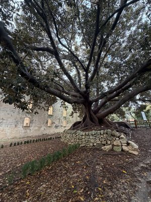 Castello di Donnafugata by null