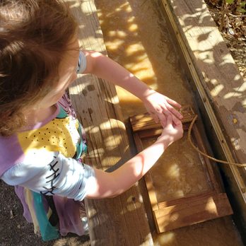 Vala's Pumpkin Patch - Looking for gems and fossils. - Venues & Event Spaces Near Me - Gretna, Nebraska