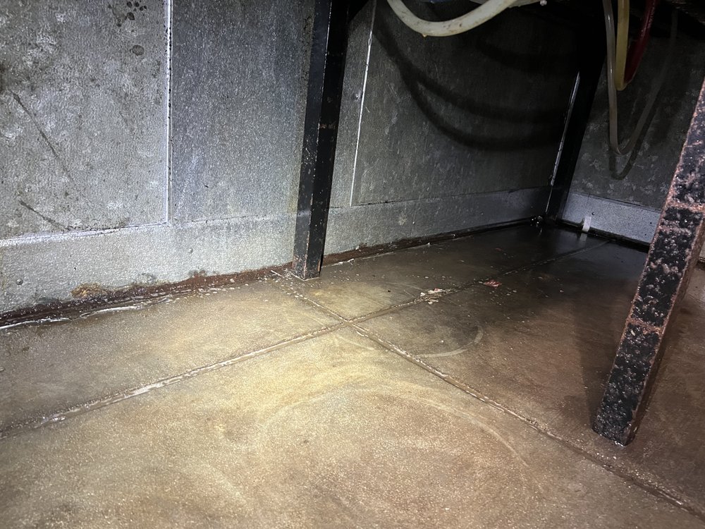 Slide of SD Pressure Pros