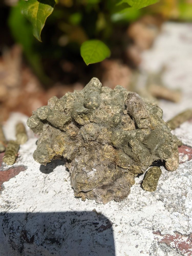 RIVERTOWN FEED & PET COUNTRY STORE Updated August 2024 51 Photos