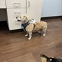 Photo of Hawaii Kai Veterinary Clinic