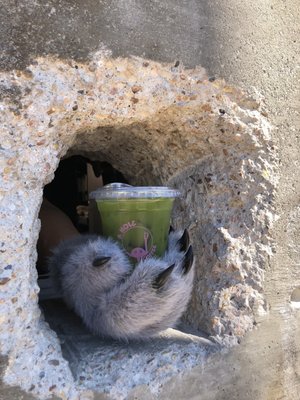 A Hole Coffee by null