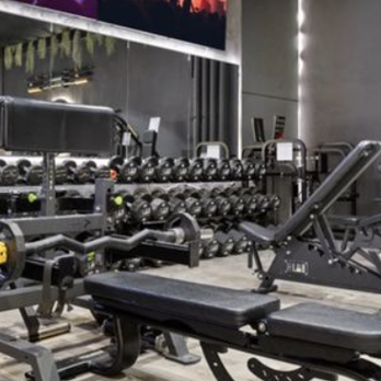 The Michael Method LA - Fitness Trainer - Trainers Near Me - Los Angeles, California