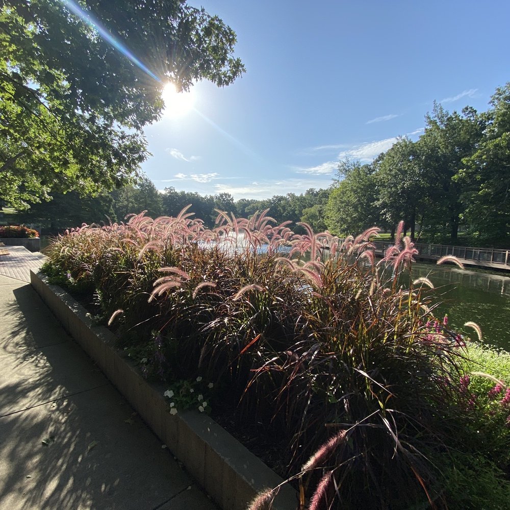 Antioch Park - Butterfly garden - Parks Near Me - Merriam, Kansas