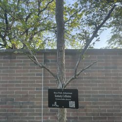 Brys Park Disc Golf Course - New trees!