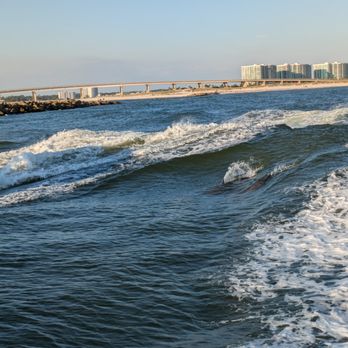 Cruise Orange Beach Dolphin Cruises - Boating Near Me - Orange Beach, Alabama Cruise Orange Beach Dolphin Cruises - Boating Near Me - Orange Beach, Alabama