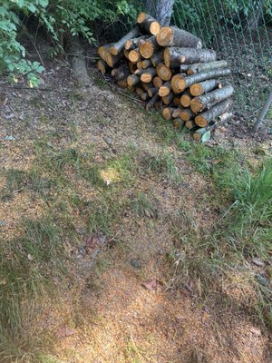 Heeter Enterprises Tree Service and Landscaping Logo