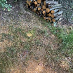 Heeter Enterprises Tree Service and Landscaping