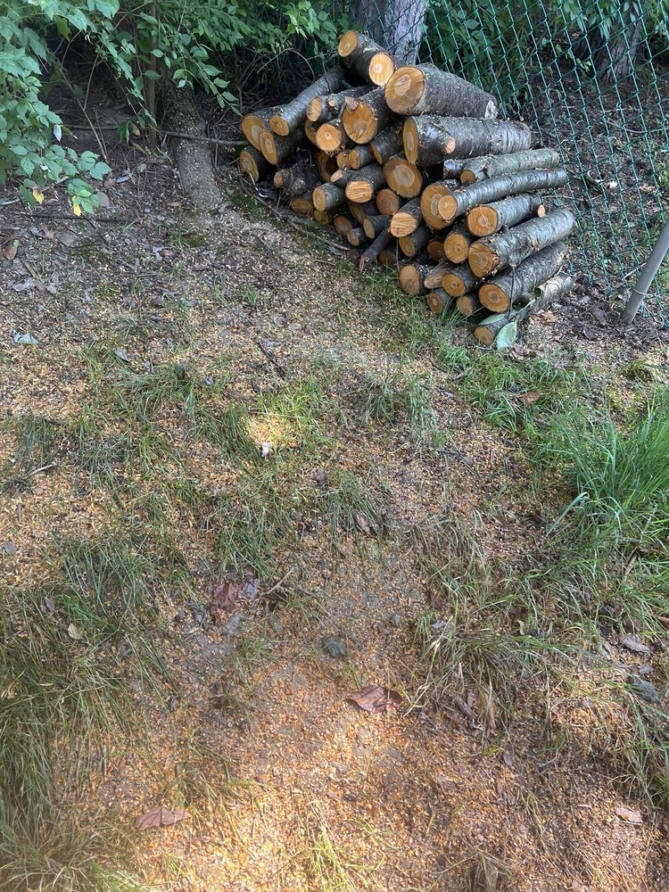 Slide of Heeter Enterprises Tree Service and Landscaping