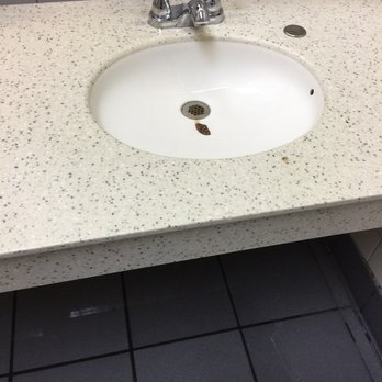 Chuck E. Cheese - Poop in the bathroom sink -management took 20 min to clean I wonder how their kitchen looks - Pizza Near Me - Bronx, New York Chuck E. Cheese - Poop in the bathroom sink -management took 20 min to clean I wonder how their kitchen looks - Pizza Near Me - Bronx, New York