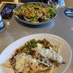 Tilapia