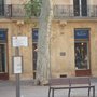 Photo of Crossby Façonnable