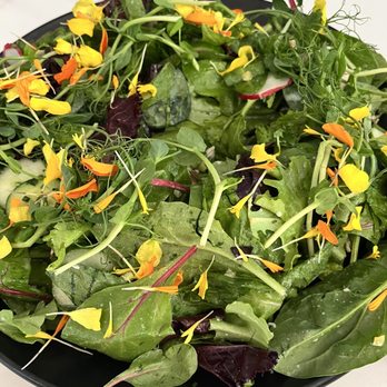 Populaire Modern Bistro - Salad - French Near Me - Costa Mesa, California Populaire Modern Bistro - Salad - French Near Me - Costa Mesa, California