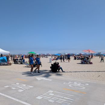 Rosie's Dog Beach - Dog Parks Near Me - Long Beach, California Rosie's Dog Beach - Dog Parks Near Me - Long Beach, California