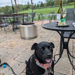 Casanel Vineyards & Winery - Outdoor dog friendly patio