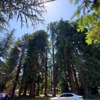The Magic Forest - View from across the street - Active Life Near Me - Palo Alto, California The Magic Forest - View from across the street - Active Life Near Me - Palo Alto, California