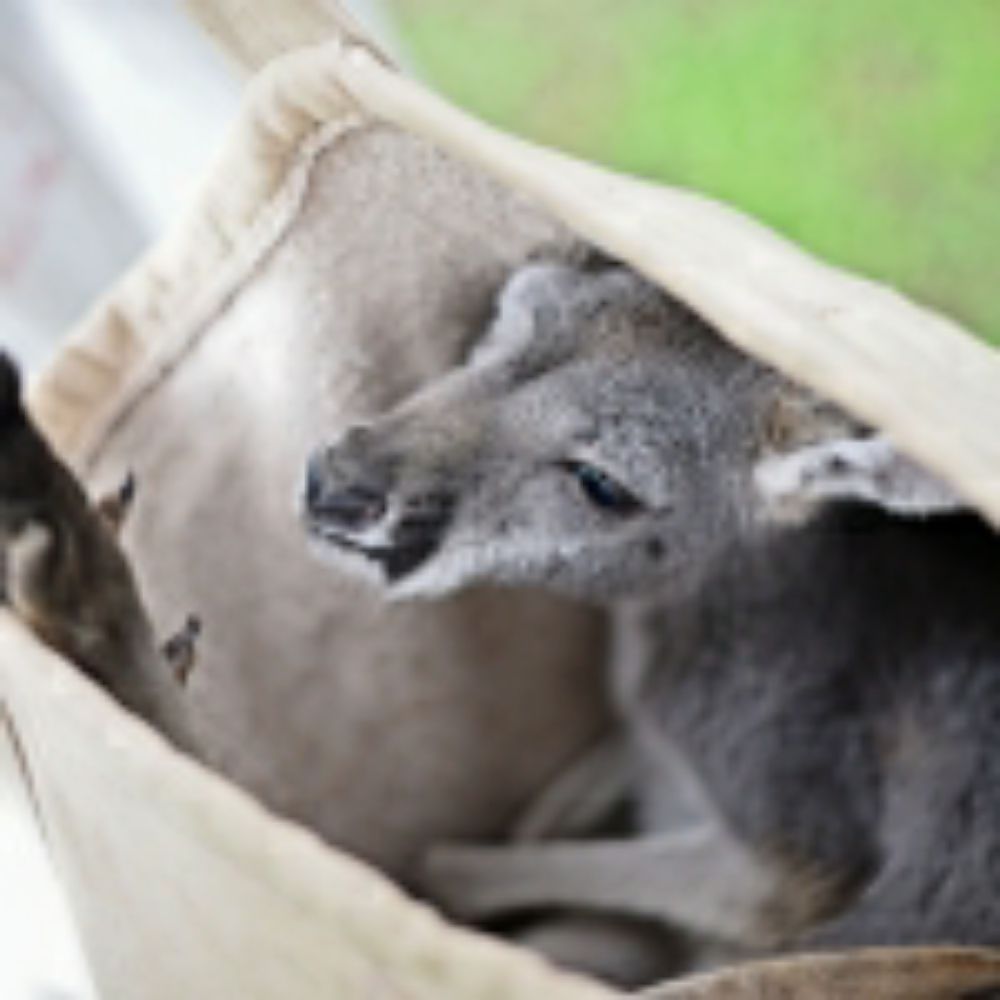 AUSTIN PETTING ZOOS AND AQUARIUMS Updated August 2024 54 Photos