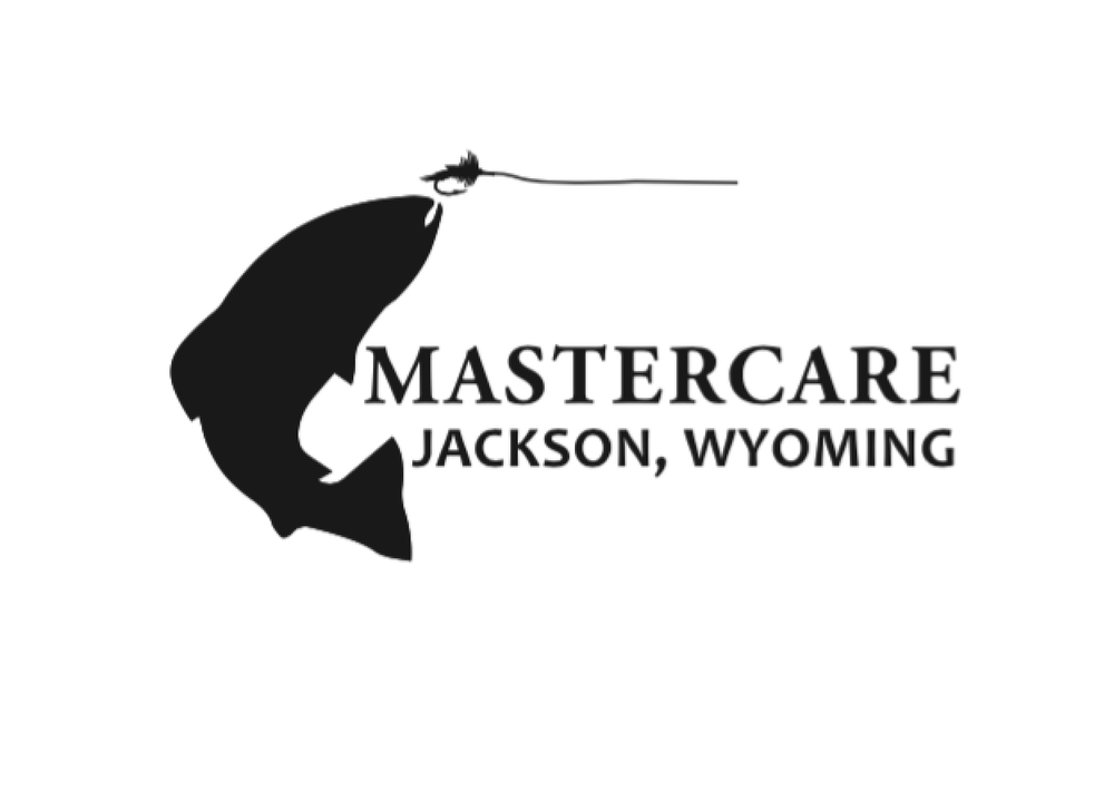MASTERCARE CLEANING Updated September 2024 11 Photos Jackson