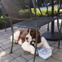 Photo of Dunkin'