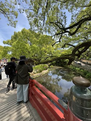 Dazaifu-tenmangu Shrine by null