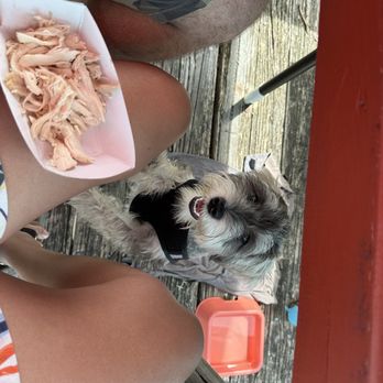 The Tipsy Cow Bar and Grill - Doggy chicken menu delicious fresh chicken breast - Cheesesteaks Near Me - Cedar Key, Florida