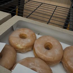 flies in the bakery item containers
