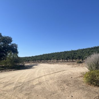 Cass Winery - Vineyard - Wineries Near Me - Paso Robles, California Cass Winery - Vineyard - Wineries Near Me - Paso Robles, California