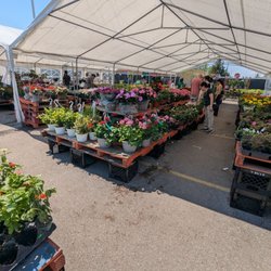 Sunny Foodmart