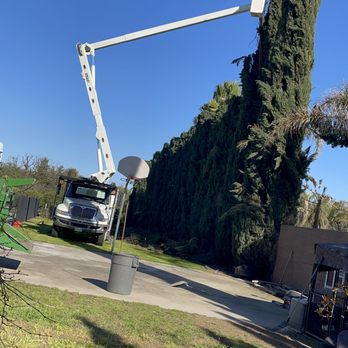 Total Tree Service - Tree Services Near Me Total Tree Service - Tree Services Near Me