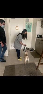 House Calls - In home dog training this is very helpful for any dog. 
My house calls are private sessions and we can work on whatever issues you are having with little distractions. If you have a puppy and want to make sure you have a proper space set up for them or a dog that is going crazy in the house my house calls are perfect for you.