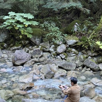 Shannon Falls Provincial Park - Parks Near Me - Squamish, British Columbia