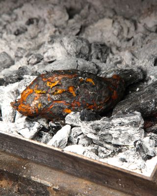 Los Burros Supremos by null