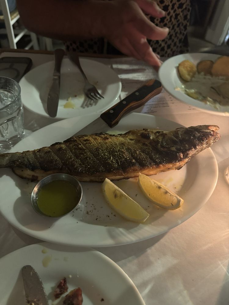 KAVA neo-taverna