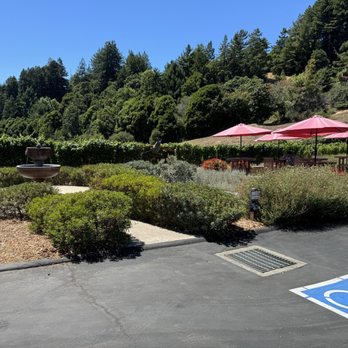 Soquel Vineyards - Cute outdoor - Wineries Near Me - Soquel, California Soquel Vineyards - Cute outdoor - Wineries Near Me - Soquel, California