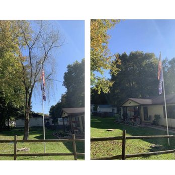 Wimer - Removed a dead Weeping Willow Tree that was in front a house. - Tree Services Near Me