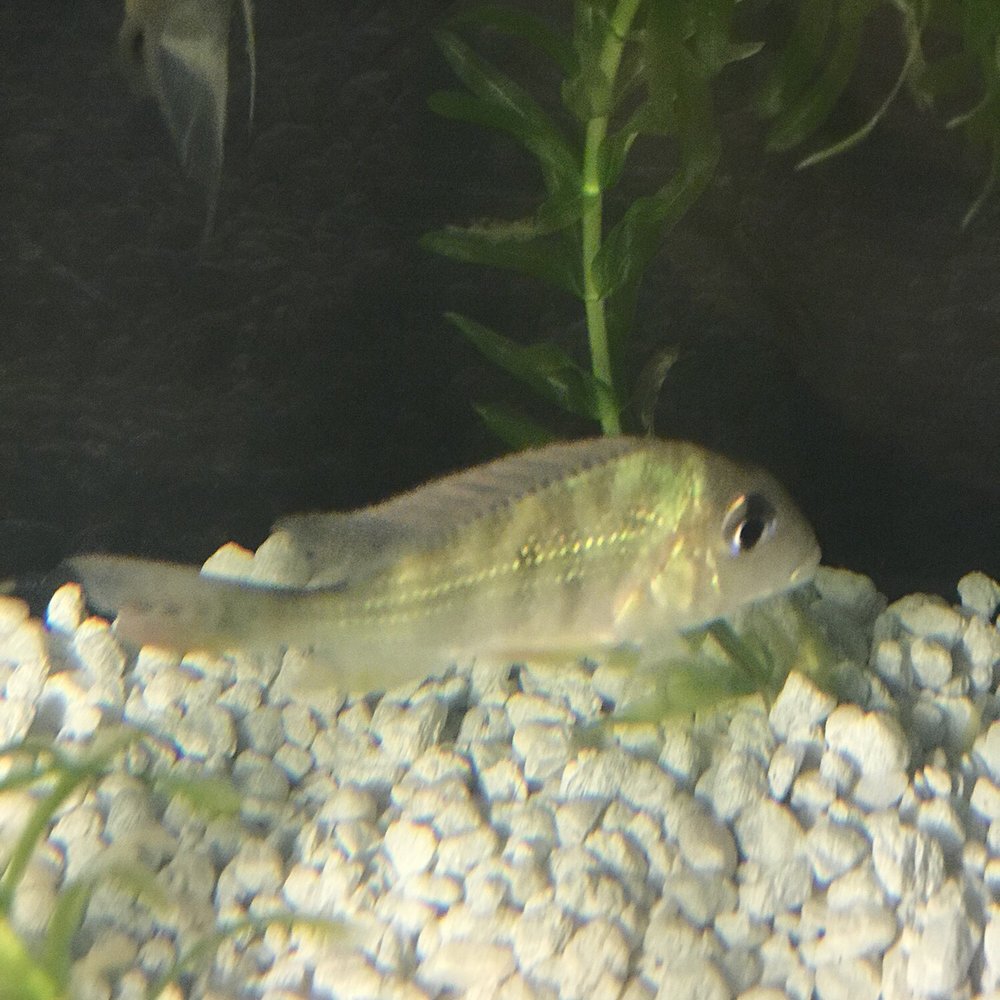 Vallejo Aquarium - Pet Stores Near Me - Vallejo, California Vallejo Aquarium - Pet Stores Near Me - Vallejo, California