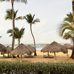 Bonita Travels