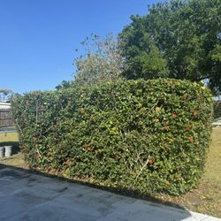 P&L LANDSCAPING SERVICES
