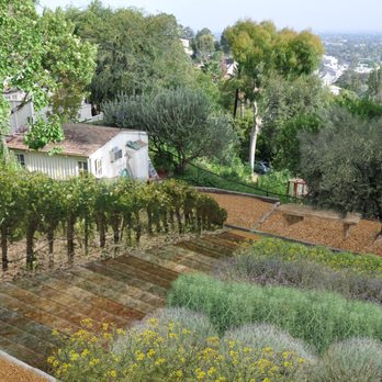 GLD Landscape Design - a view of a vineyard - Landscaping Near Me