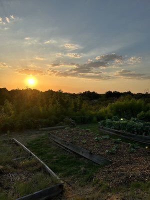 Fox Hill Restaurant & Gardens by null