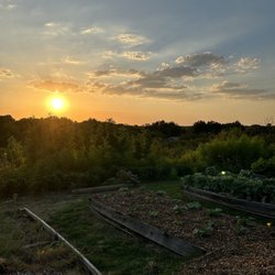 Fox Hill Restaurant & Gardens - Sunset garden pic from the fox hill garden.