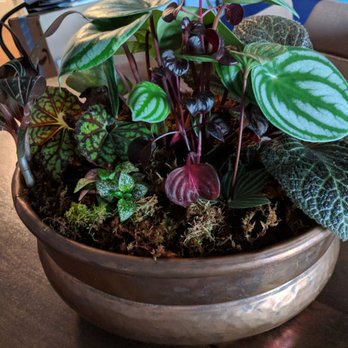 Fancy Free Nursery - Nurseries & Gardening Near Me - Tampa, Florida Fancy Free Nursery - Nurseries & Gardening Near Me - Tampa, Florida
