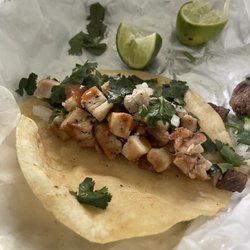 Garibaldi's