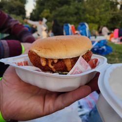 Flamin Hot Chicken