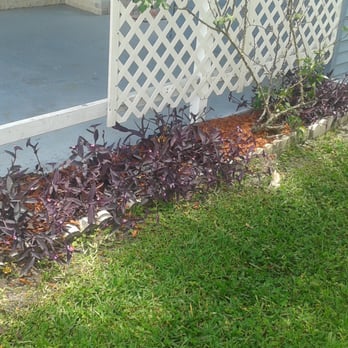 Lawns Today - a house with a flower bed in front of the house - Landscaping Near Me - Palmetto, Florida Lawns Today - a house with a flower bed in front of the house - Landscaping Near Me - Palmetto, Florida