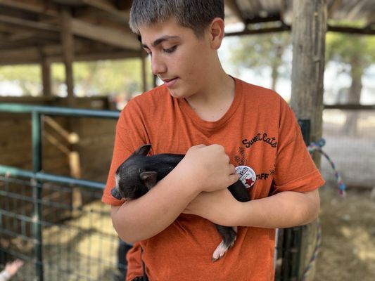 Sweet Eats Adventure Farm & Petting Zoo by null