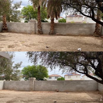 Treepro - Before (top) and After (bottom) - Tree Services Near Me - Las Vegas, Nevada