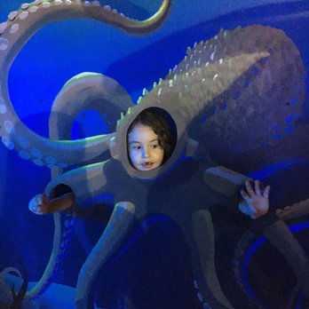 Austin Aquarium - Life as an octopus. - Aquariums Near Me - Austin, Texas